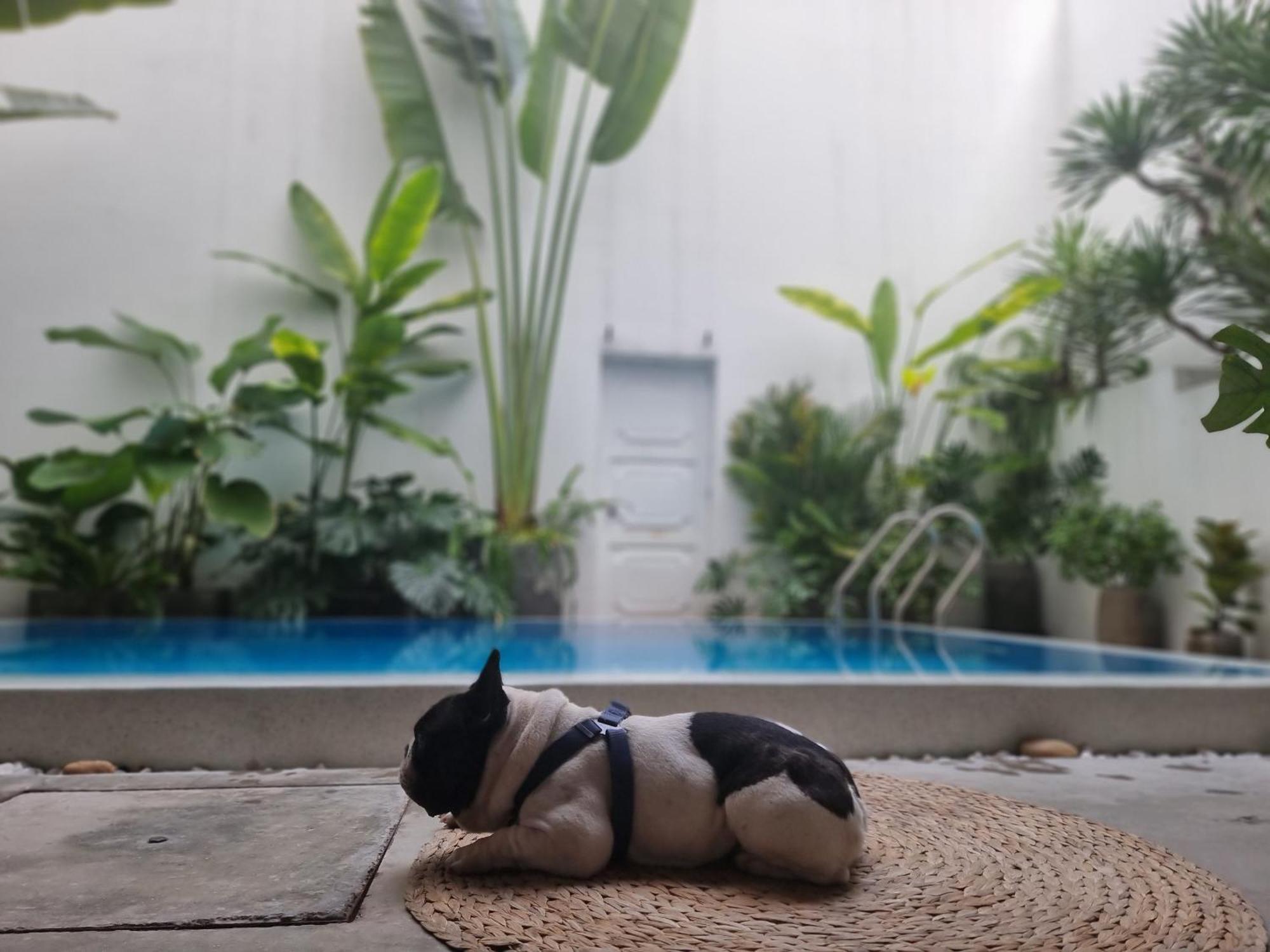 Lada'S House Da Nang Leilighet Eksteriør bilde